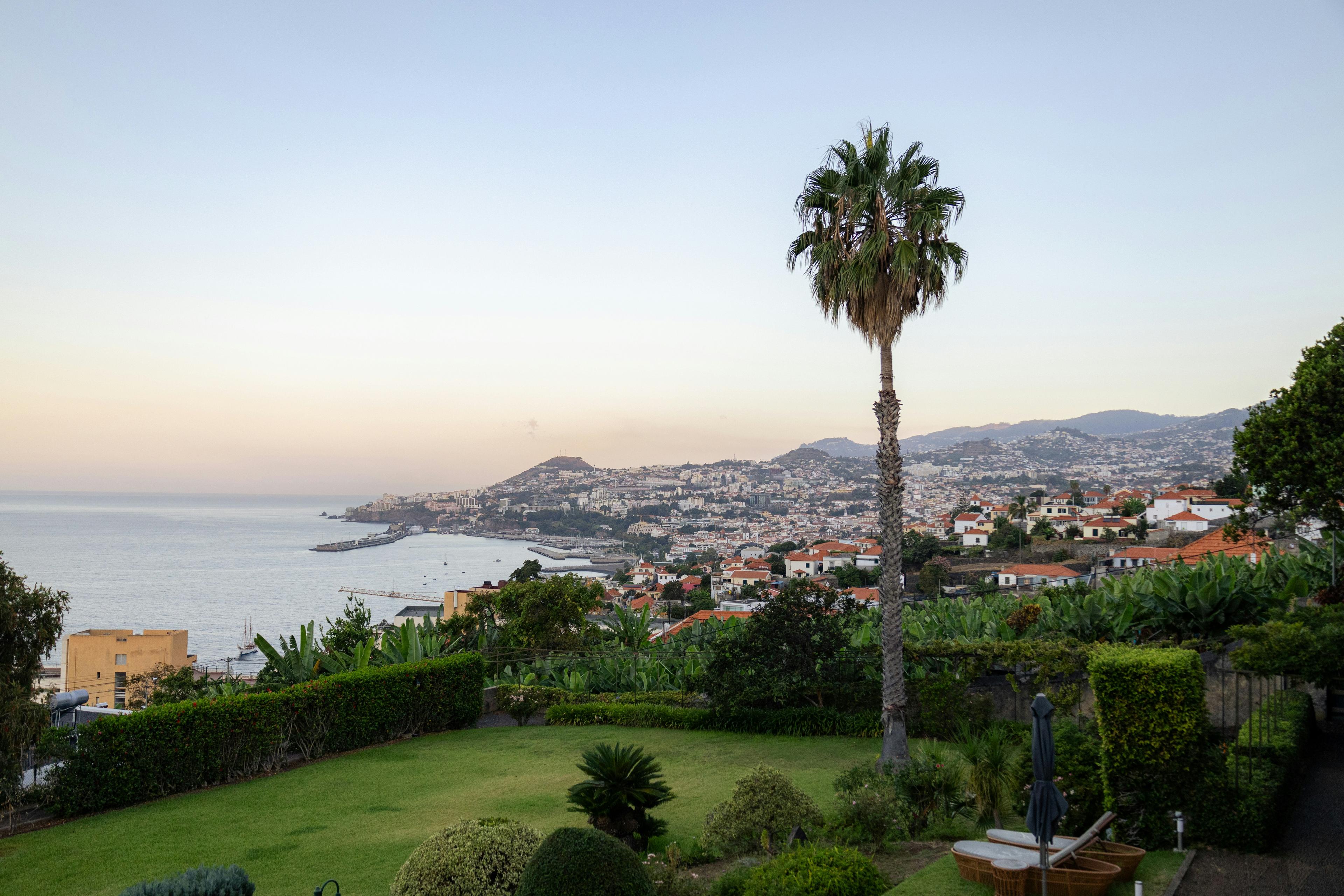Funchal panoramic view over city and harbour