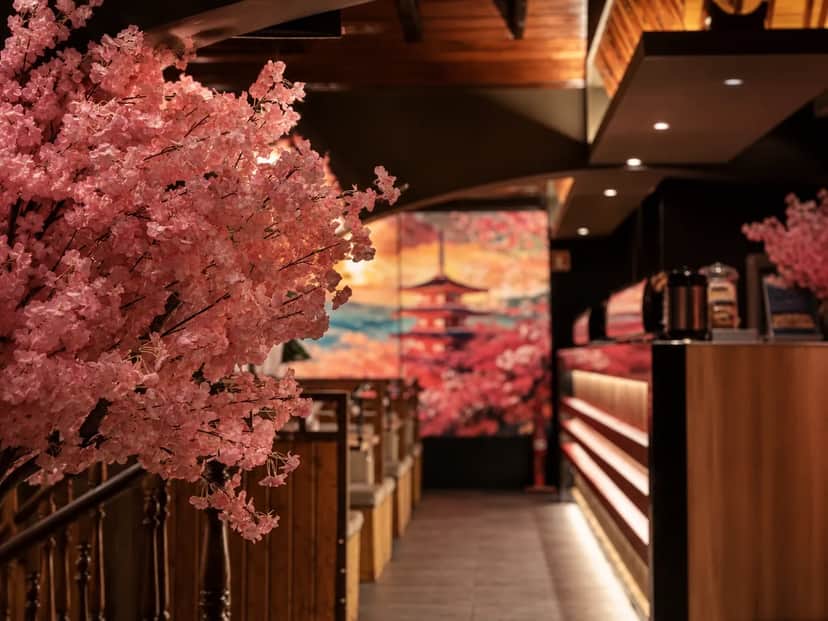 Sakura, リスボン