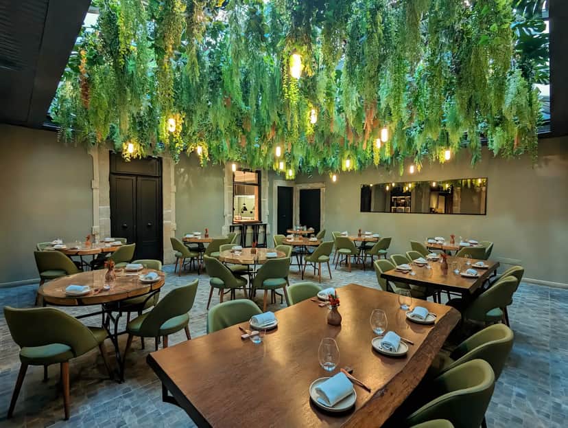 Botânico Restaurante & Bar, Oporto