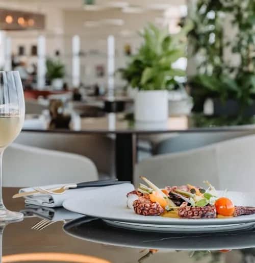 Restaurante Auge Porto, Porto
