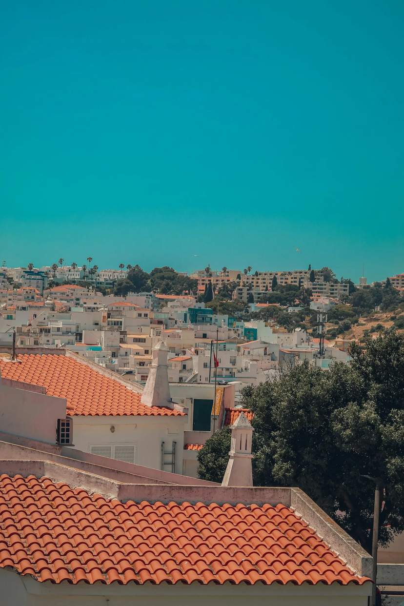 Vista sobre a Torre dos Clérigos, Porto