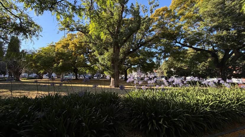 Jardim Vasco da Gama, 里斯本