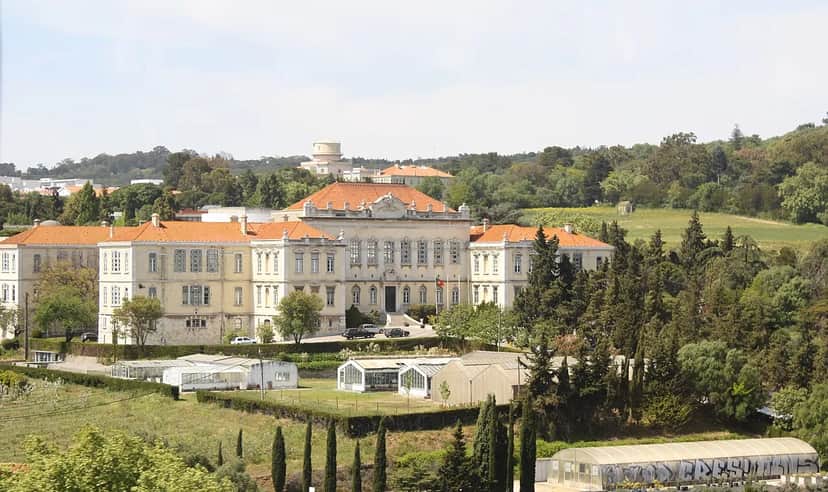 Tapada da Ajuda, Lisboa
