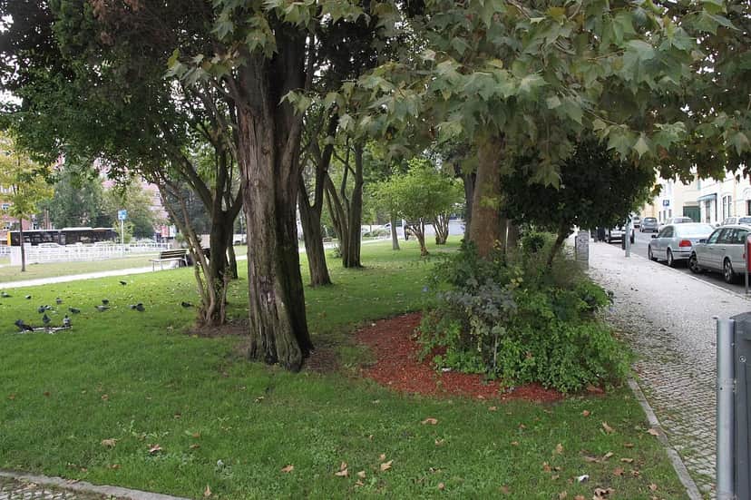 Jardim Irmã Lúcia, 里斯本