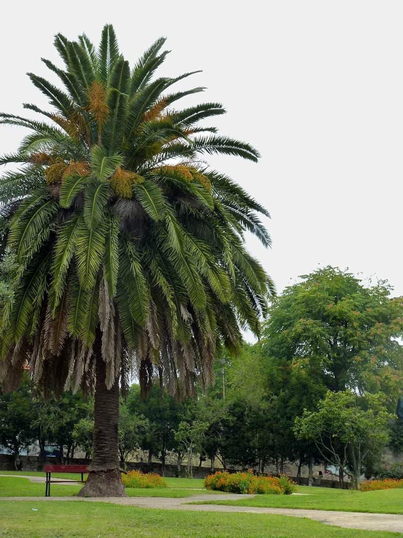 Jardim da Pena, Porto