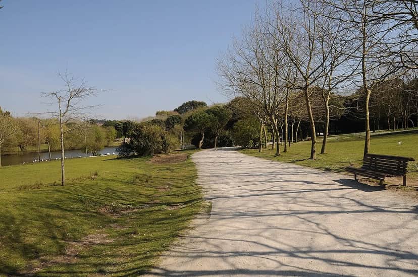 Jardim Soares dos Reis, Porto