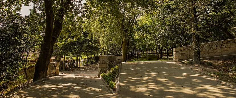 Parque do Covelo, Porto