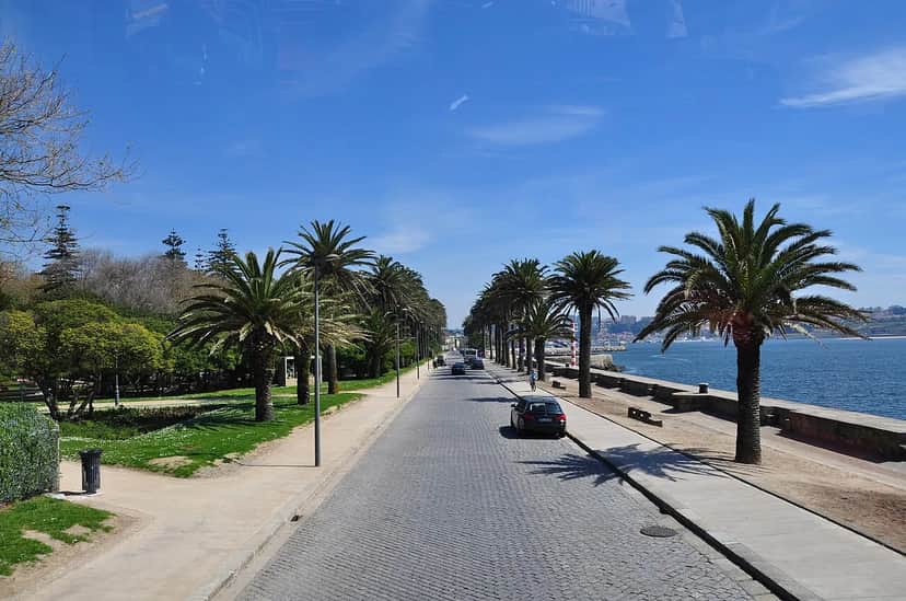 Palmeira das Canárias, Porto