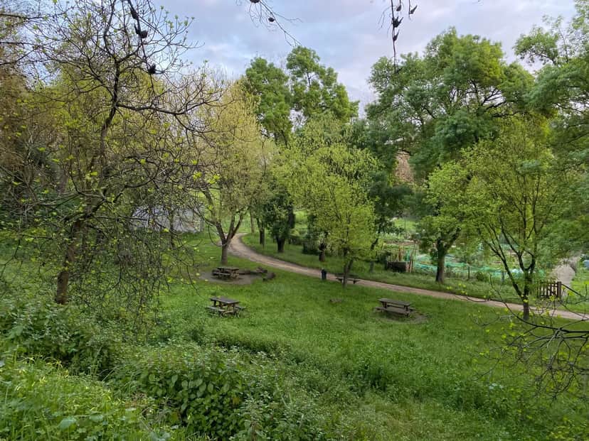 Parque Edgar Sampaio Fontes, 里斯本