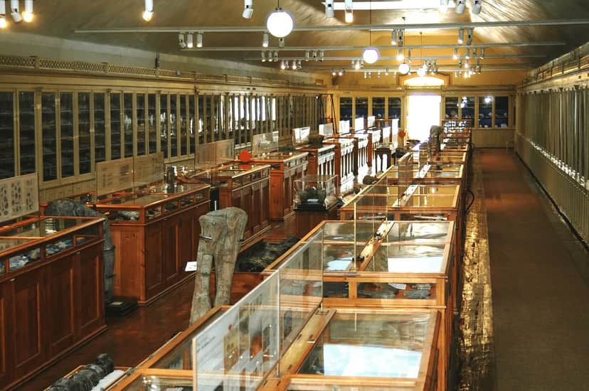 Museu Geológico, 里斯本