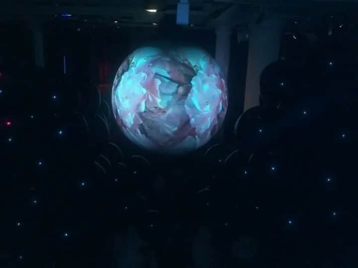 Companhia de Dança de Almada, Lissabon