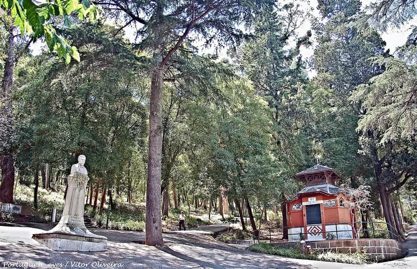 Parque Silva Porto, 里斯本