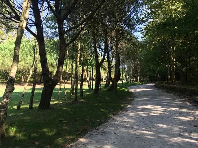 Parque da Cidade, Porto