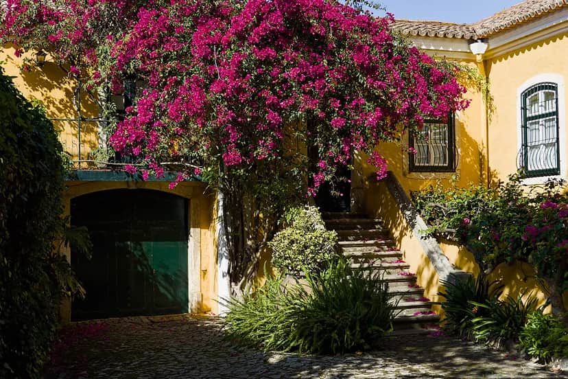 Casa do Galvão, Lissabon