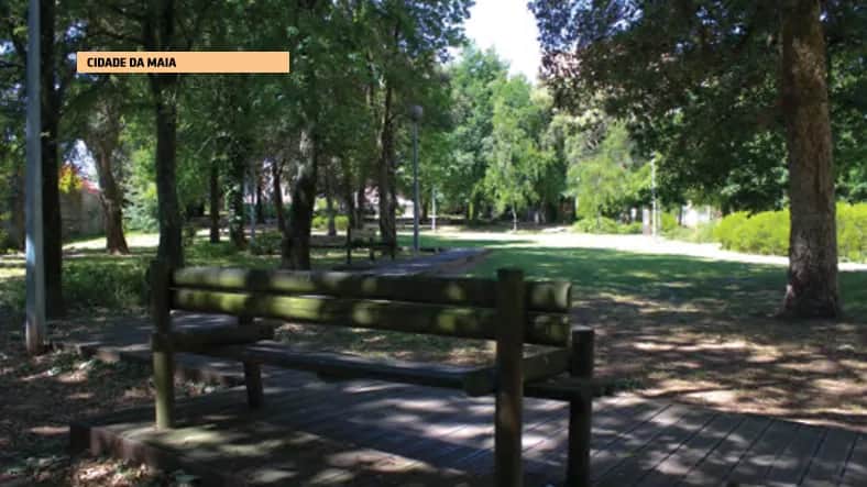 Bosque Autóctone, Oporto