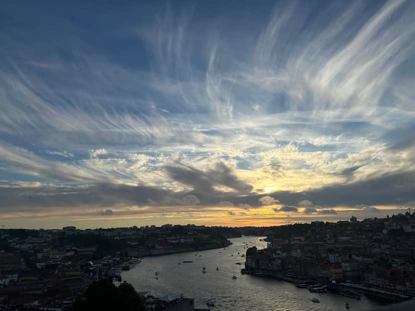 Mosteiro da Serra do Pilar, Porto