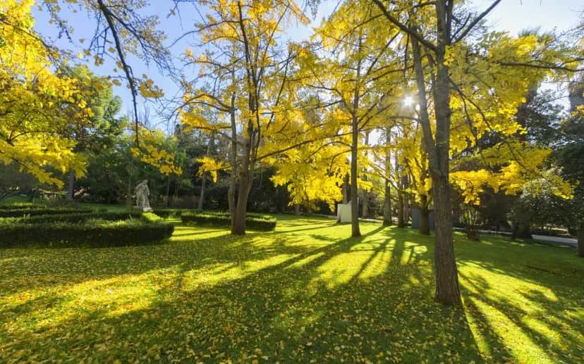 Jardim Botânico Tropical, 里斯本
