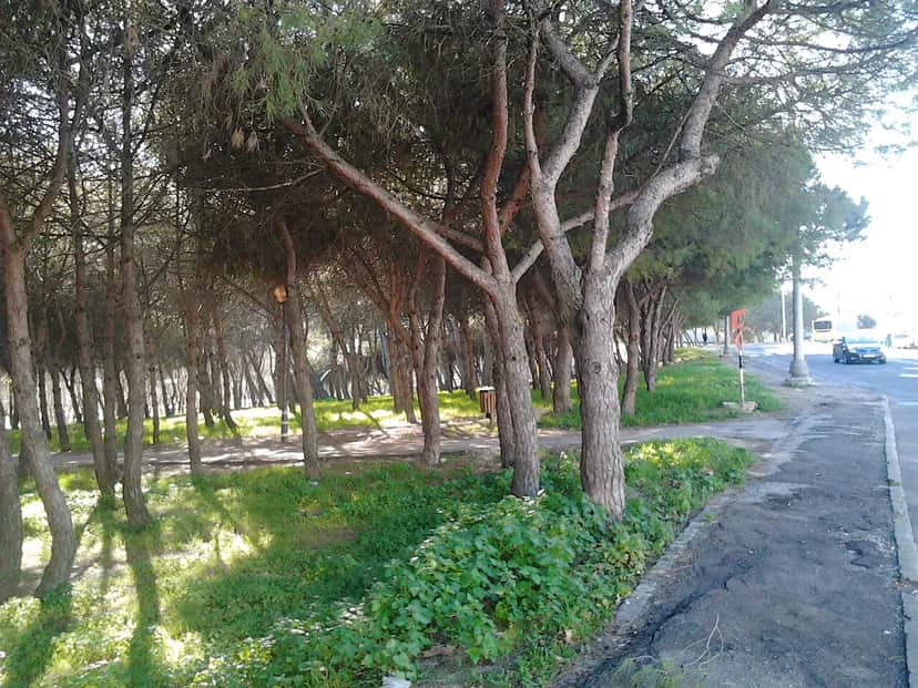 Parque Urbano do Vale Fundão, 里斯本