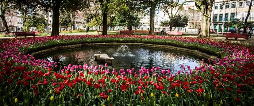 Jardim de São Lázaro, Porto