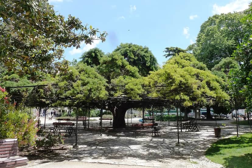Jardim do Príncipe Real, 里斯本