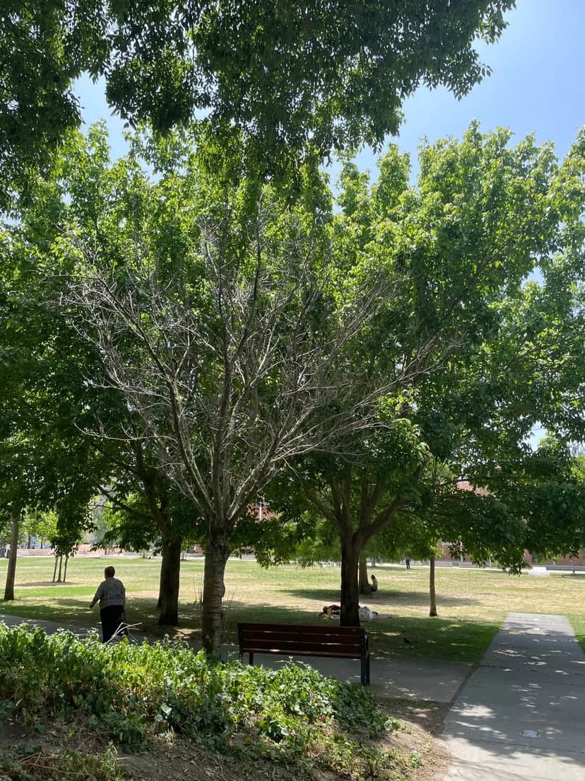 Jardim do Arco do Cego, 里斯本