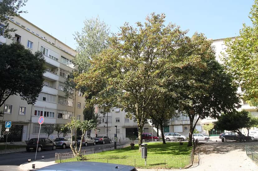 Jardim da Praça Pasteur, 里斯本