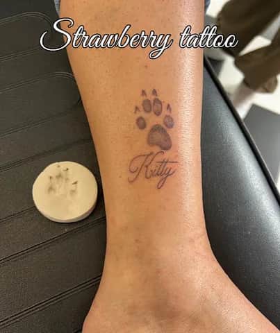 Strawberry Tattoo, Porto