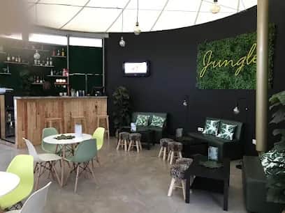 Jungle, 里斯本