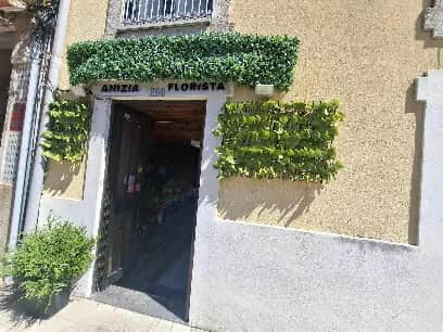 Anízia Florista, Porto