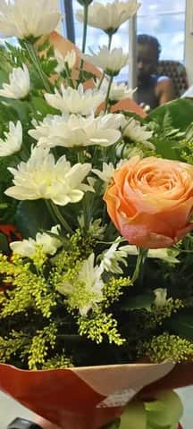 Alcina Florista, Lisbon