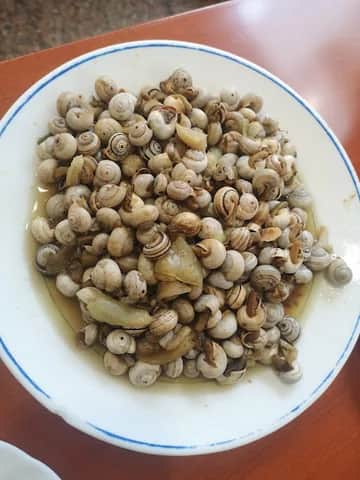 O Tabuense, リスボン