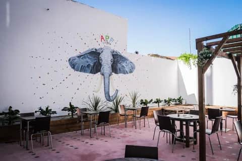 A.P.F., Lissabon