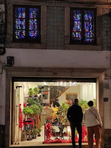 PortoBonsai, Porto