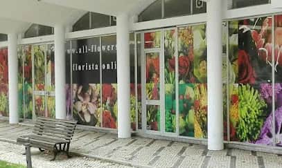 All Flowers, Lisbon