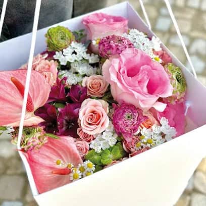 Lovely Flowers, 里斯本