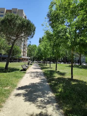 Jardim de Sarah Afonso, Porto