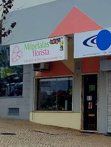 Milpétalas Florista, 里斯本