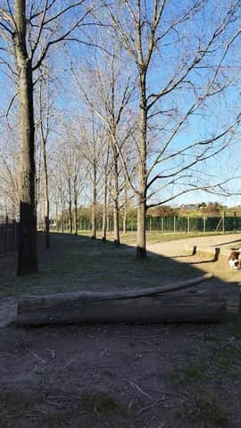 Parque Canino da Seara, Porto
