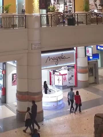 Magnolia, 里斯本