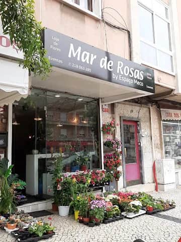 Mar de Rosas, 里斯本