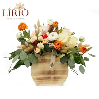 Lírio, Oporto