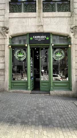 Porto Alive, Porto