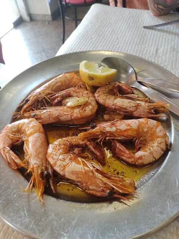 A Vianense, Lissabon