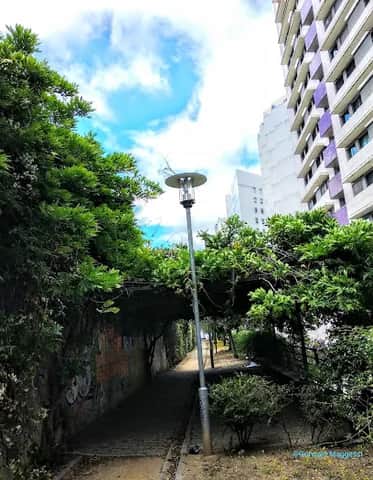 Jardins Suspensos, 里斯本