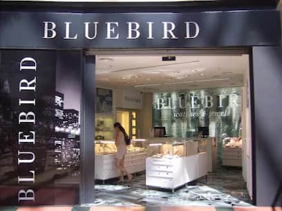 Bluebird, Oporto