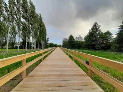 Parque Urbano de Fânzeres, Porto