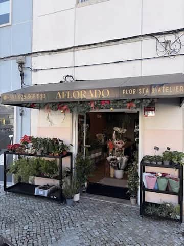Aflorado, Lisbon
