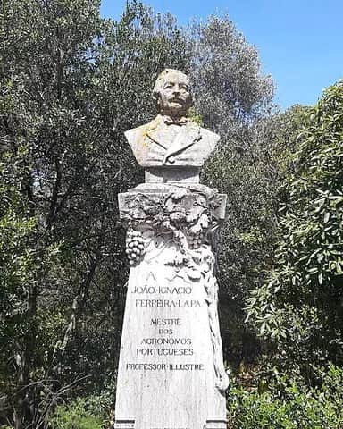Ferreira Lapa, Lissabon
