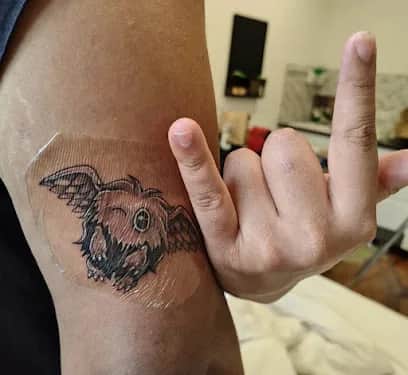 SPIDER TATTOOS, Porto