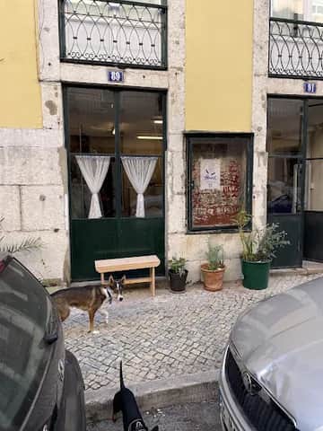 Third Thrift Store, Lissabon